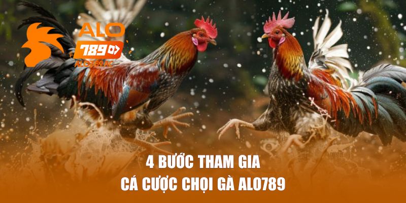 4 bước tham gia cá cược chọi gà Alo789 