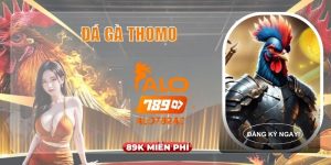 Đá Gà Thomo