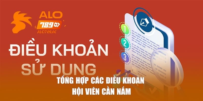 Tổng hợp các điều khoản hội viên cần nắm