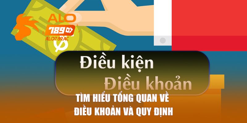 Tìm hiểu tổng quan về điều khoản và quy định 